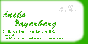 aniko mayerberg business card